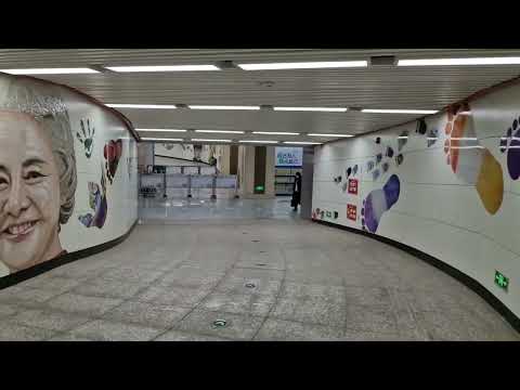 Video: Subway ya Changchun: mchoro, picha, maelezo
