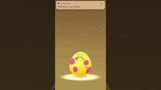 Hatching 9 New 7Km Alolan Eggs In Pokémon Go