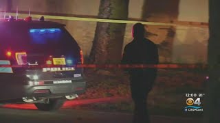 Lauderhill Police Investigate Deadly Shooting