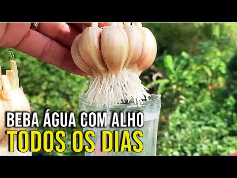 Descubra o que