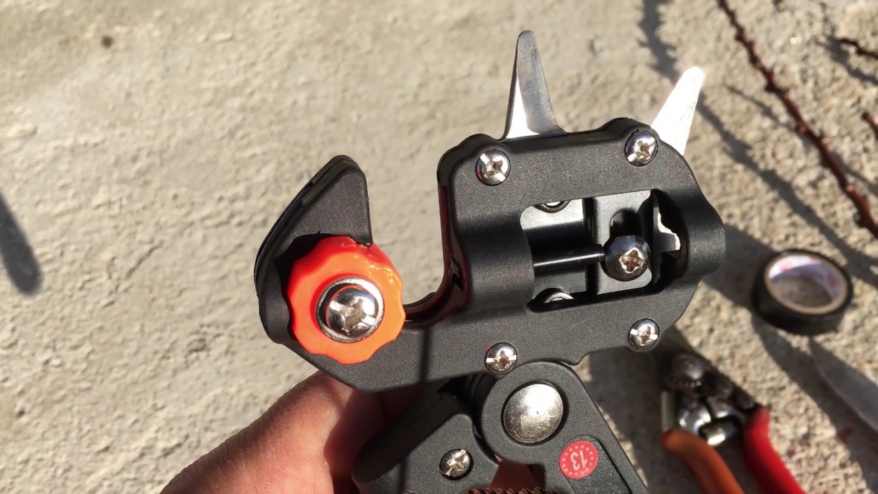 EN KOLAY ŞEKİLDE OMEGA KALEM AŞISI NASIL YAPILIR?