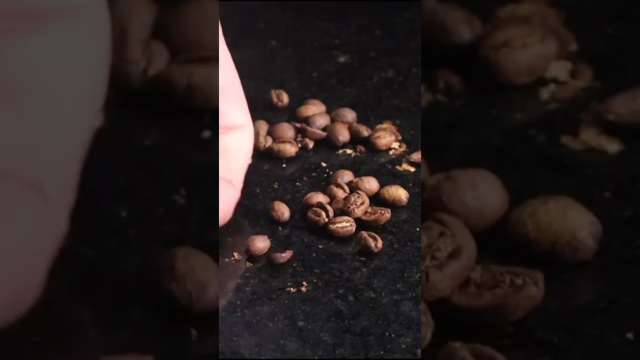 Yoshan DY-2kg coffee roaster