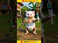 Billi ne mendhak ko kiya bada 😱😽#catlovers #catsoftiktok #cat #catcartoon #fly