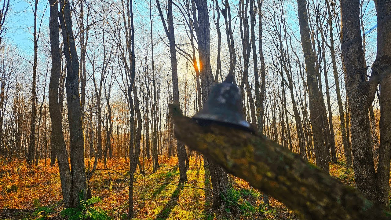 Conestoga bell found metal detecting at 1800's Pennsylvania Homesite