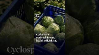 Full Cyclospora outbreak is over, health officials say Update