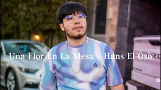 Una Flor En La Mesa - Hans El Oso