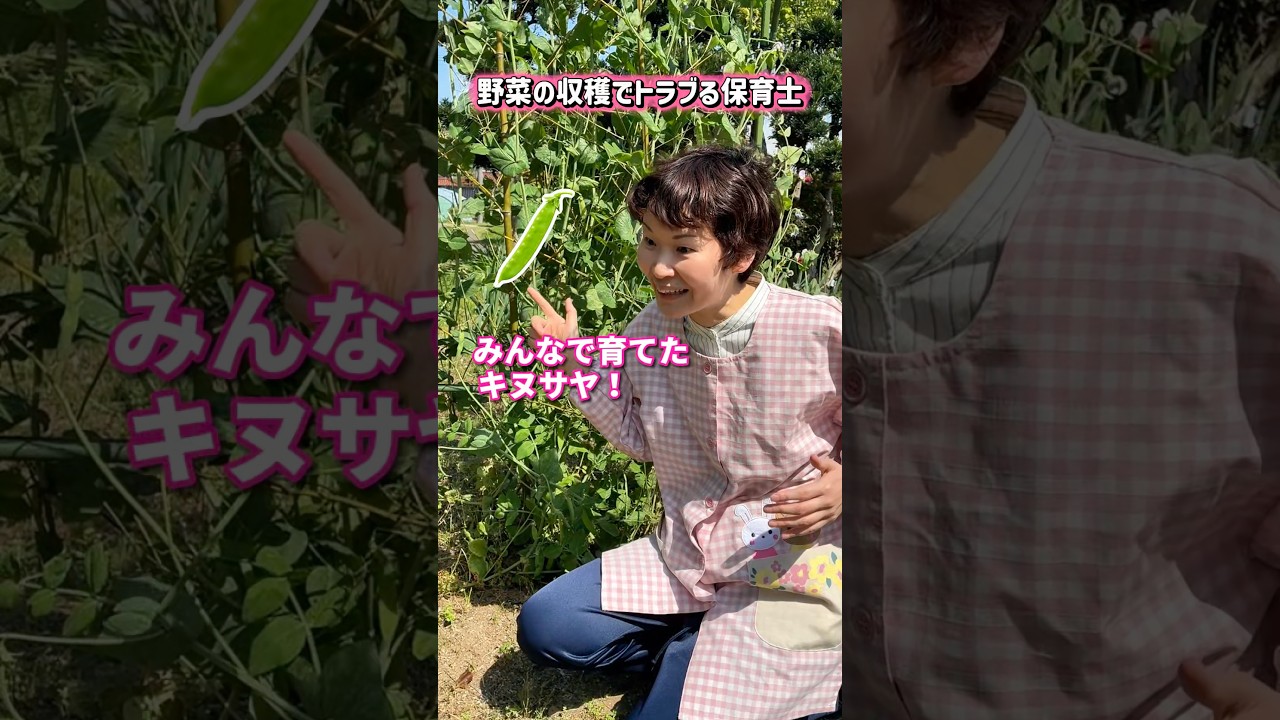 野菜の収穫でトラブる保育士【保育士あるある】 #shorts #保育士あるある