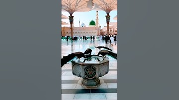 #azhari #tutorialfilter