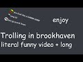 brookhaven but im in vc with my 2 friends