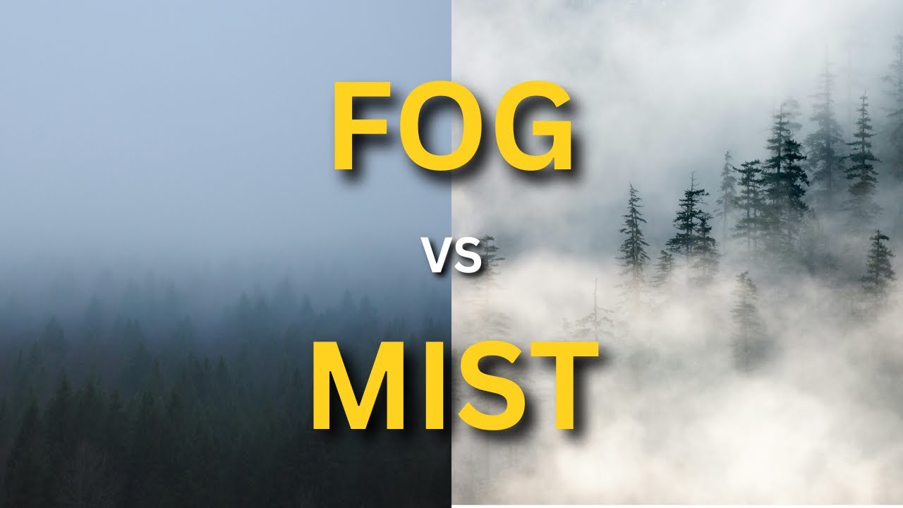 Mist Weather Condition Difference between ' Fog and Mist'. You’ve Been Calling It the Wrong ...