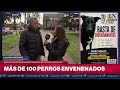 Denuncian envenenamiento masivo de perros en Bolívar: preocupación y marcha vecinal