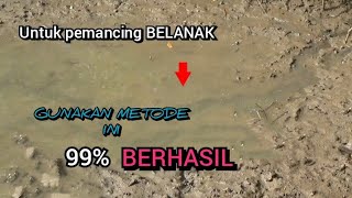 Sukses BESAR..Langkah Dan Trik Ini Sudah Terbukti Untuk Mancing Belanak Sukses BESAR..Langkah Dan Trik Ini Sudah Terbukti Untuk Mancing Belanak