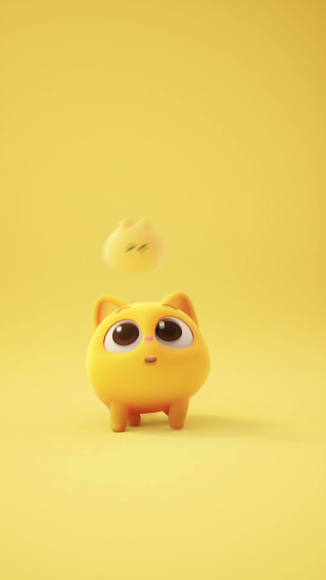 Meow if you are happy #ninimo #cat