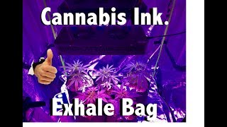 Grow Tent Update| Exhale CO2 Bag | Medical Grow