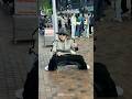 【激レアダンスパフォーマー!世界中に出没する】ロボモン