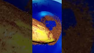 It Si A Mango