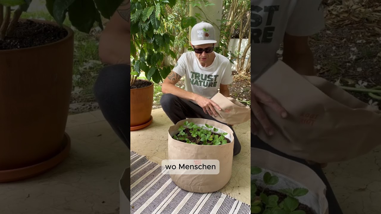 Verfilztnochmal GIFTIG! ☠️ - Darum sind die richtigen Töpfe ESSENTIELL!