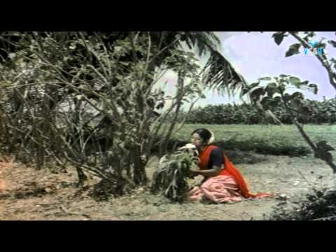 Aathoram Sevvanthi Song Lyrics on YouTube