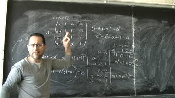 Determinantes. Estudio del rango de una matriz 4x4 dependiendo de un parámetro 01