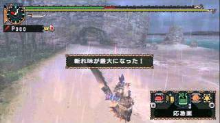 Mhp2g 下位クシャル一戦討伐 下位装備大剣 Youtube