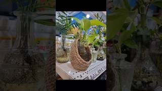 &quot;뜨개로 만든 내추럴 화분커버🌿 손뜨개 인테리어 소품 DIY&quot; #손뜨개 #crochet #knitting #handmade #diy