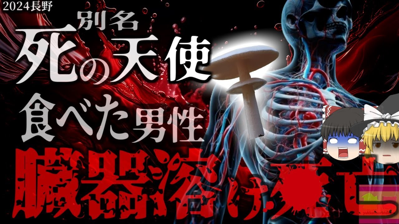 【2024年】『46年ぶりの事例』仕事帰りに採ったキノコを食べた男性 実は猛毒のキノコで肝臓が破壊され〇亡 長野県が有毒きのこ食中毒注意報を発令する事態に 【ゆっくり解説】