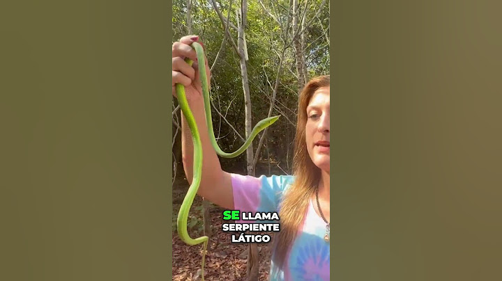 ¡Increíble Serpiente Látigo! Descubre su Belleza #short #humor