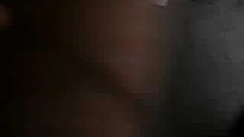 Watch the video about Siamese kitten plays fetch with his duck