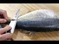 줄전갱이가 그렇게 고급생선입니까? 방어보다 맛있다고요?(시마아지,シマアジ) Fillet a Whole Bigeye trevally ,sashimi_Korean street food