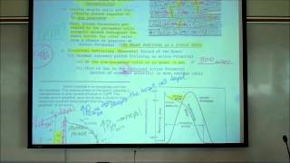 CARDIAC PHYSIOLOGY; PART 2 by Professor Fink.wmv