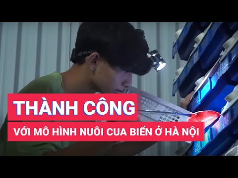 Video Lấy nước Hạ Long mang về Hà Nội, 8X thành công với mô... - youtube
