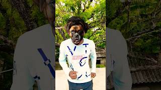 Infinite loop of Pipi🐕🐵❤️😱#short video