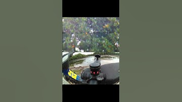BURUNG BELIBIS 110 METER #burungbelibis #belibisbatu #shortvideo #shorts