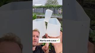 O truque para cultivar horta em casa
