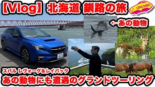 【Vlog】スバル レヴォーグ・レイバックで 新CMのロケ地・北海道釧路をめぐるグランドツーリング!なんとあの動物と遭遇して、まなぶ大興奮!