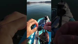 Light Tackle Catfish Dragging Setup