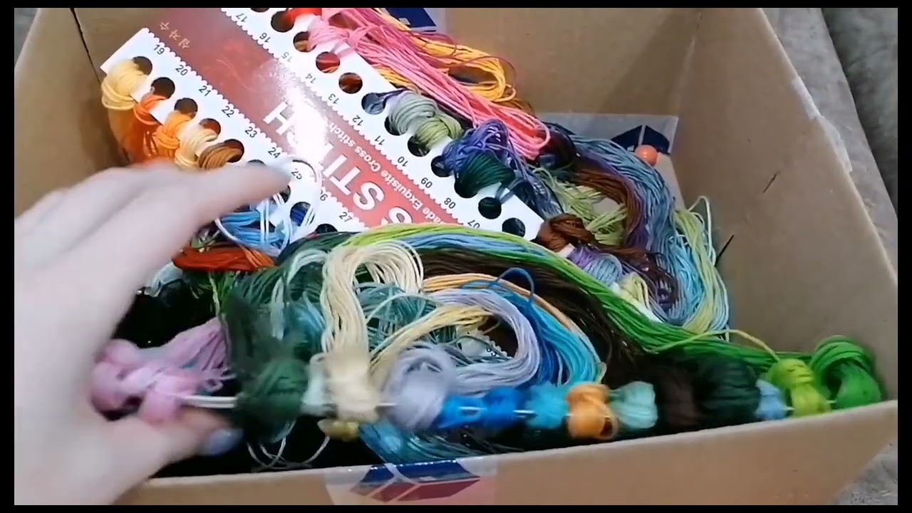 Проект Павлины 🦚 Серия 1