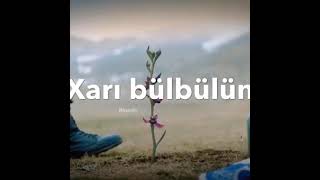 Whatsapp Üçün Maraqlı Statuslar, Sevgiyə Aid Video, Sounds App 2021 Status Üçün Sevgiyə Aid Video