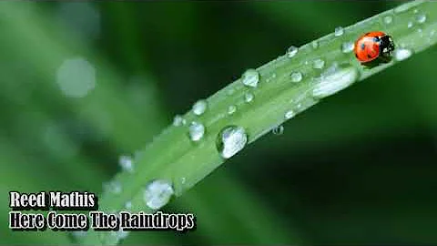 Reed Mathis - Here Come The Raindrops