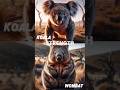 Epic Battle Koala vs Wombat #shorts #animals #animalbattle #wildlife