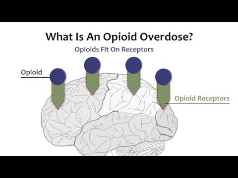 Videó: Opioid Túladagolás Háziállatoknál: Milyen Kockázatok Vannak?