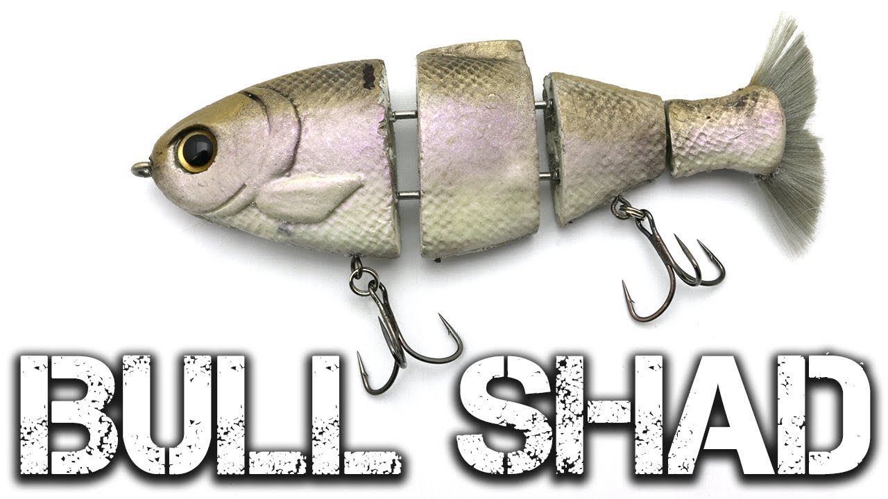 Bull Shad Swimbait - Triton Mike Bucca – Fishing Online