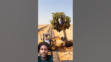 Zebra saved the brinjal tree from drying up by watering it 😭 #ai #save #tree #zebra