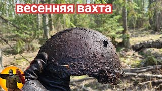 Невероятные приключения весенней вахты .