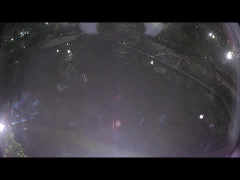 Botany Pond Live Camera – University of Chicago — Chicago, IL live camera thumbnail