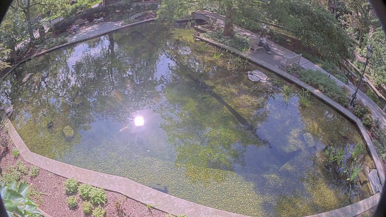 Live camera view of Chicago - Botany Pond in Chicago, United States