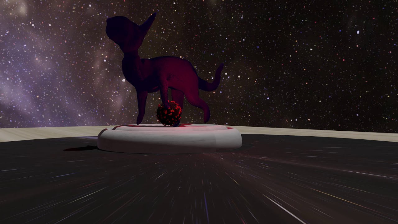 Universal cat and covid 19 