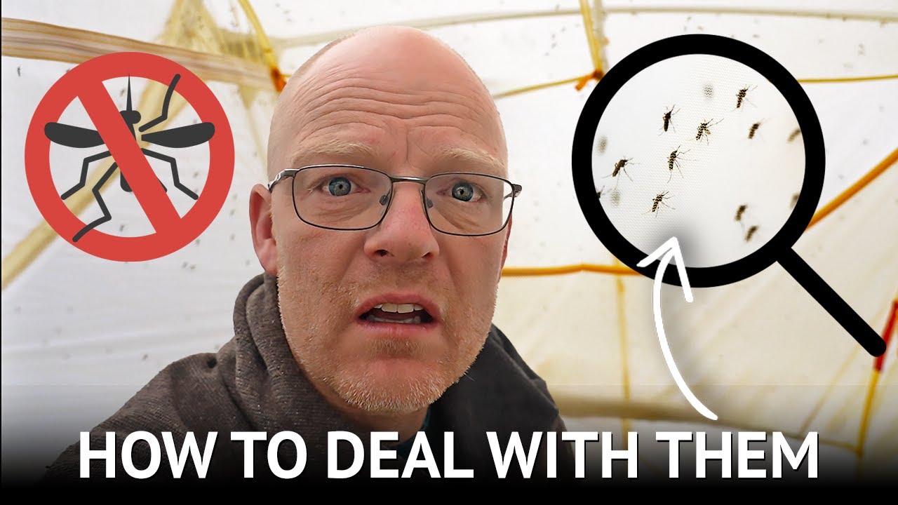 Ultimate Mosquito Repellent Guide | Avoid Mosquitoes and Bites!