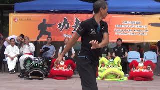 香港功夫表演洪錦培201906094