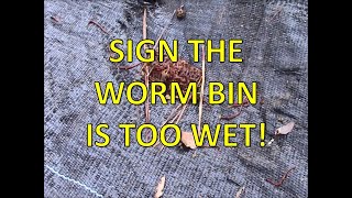 When Your Worm Beds Get too Wet - Worm Wednesday